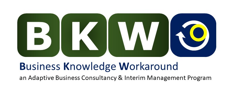 BKW - Business Knowledge Workaround